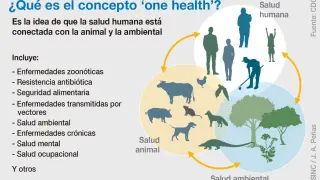 La salud global ('One Health') vela por la salud humana, animal y ambiental al mismo tiempo.
