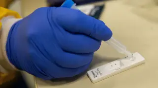 Medio millón de test rápidos de antigénicos covid-19 se comienzan a distribuir en Cataluña