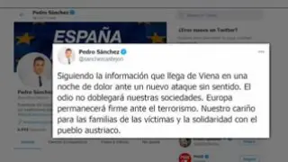 Unánime condena internacional a estos ataques. El canciller austriaco los califica de "repulsivo ataque terrorista" en el que no descarta motivaciones antisemitas. Las redes sociales se han llenado de mensajes de solidaridad.