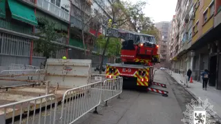 El árbol caído en la calle de Escultor Palao, en Zaragoza.