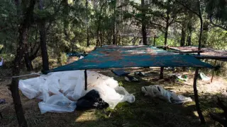 La Policía Nacional descubrió 17 pequeñas explanadas en las que se repartían más de 7.800 plantas de marihuana, con un campamento en el que los narcotraficantes vivían durante meses.