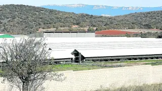 Granja de La Puebla de Valverde, Teruel, en la que se está ultimando la desinfección.