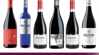 Selección Calatayud incluye una selección de los vinos de la D.O.P. más representativos.