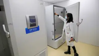 La vacuna se almacenará en contenedores refrigerados especiales, como estos, instalados en el Hospital Clínico Lozano Blesa.