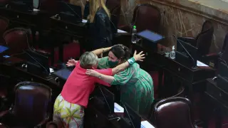Senate debates abortion bill in Buenos Aires