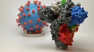 En primer plano, representación de la proteína S (‘spike’) que el SARS-CoV-2 presenta en su superficie. Es la llave de entrada a las células humanas y en ella se centran las primeras vacunas.