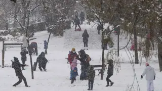 Nieve en el parque Bruil de Zaragoza