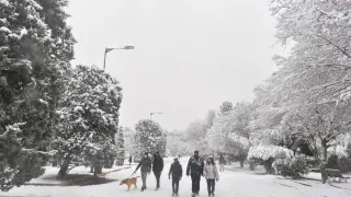 nieve en Zaragoza