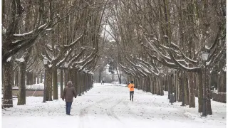 Nieve en Zaragoza