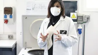 La doctora Cristina Crespo durante la presentación de los resultados de la investigación
