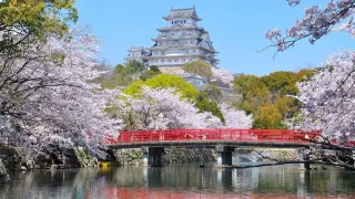 Castillo de Himeji (Japón)