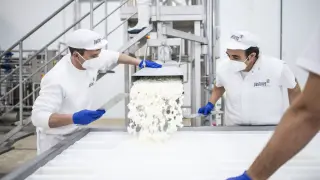 Producción de queso de oveja en la planta de Pastores en Perales de la Alfambra (Teruel).