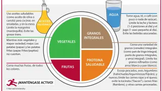 El 'Healthy Eating Plate' es un método visual creado por los expertos en nutrición de la Escuela de Salud Pública de la Universidad de Harvad que organiza comidas sanas y equilibradas.