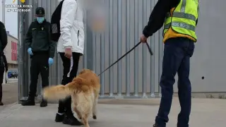 Un agente de la Guardia Civil, con el perro detector de drogas, ante uno de los institutos donde se realizó el operativo especial. .