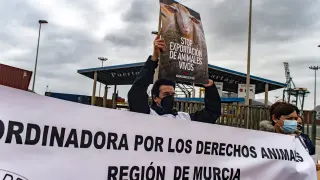 Concentración contra la exportación de animales vivos en el puerto de Cartagena.