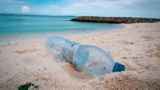 Un océano de plástico