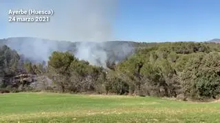 Un incendio afecta a casi cinco hectáreas de pinar en el monte de Ayerbe