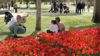 Los tulipanes convierten al Parque Grande en un 'photocall' primaveral.