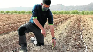 José Manuel Sebastián, joven agricultor que ha apostado por el cultivo de espárrago.