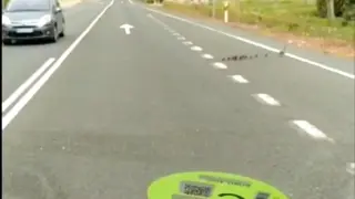 La familia de patos, cruzando la N-232