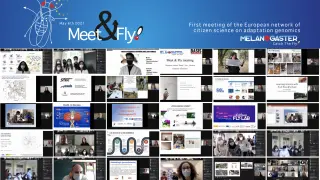 Estudiantes y docentes de doce institutos de España, uno de Alemania y dos de Ucrania se dieron cita virtual en Meet&Fly