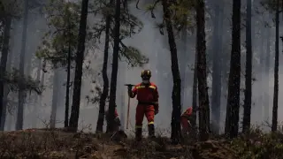 Incendio forestal en Tenerife