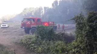 Incendio forestal en una zona de chalés en Tarazona