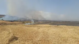 El primer gran incendio de la temporada en Aragón ha quemado unas 50 hectáreas de cereal cerca de Almudévar.