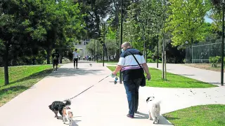 Un hombre pasea junto a sus tres perros en el parque de Torre Ramona, en Las Fuentes.