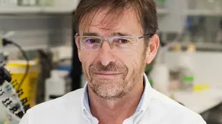 José Ramón Arribas, especialista de referencia en enfermedades infecciosas (sida, ébola, covid..)