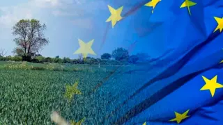 La Unión Europa ya ha acordado las grandes líneas maestras que definen la Política Agraria Común de los próximos años.