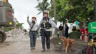 Bomberos de Miami y un perro de búsqueda, junto al edificio derrumbado