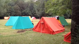 Campamentos de verano en Plan.