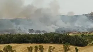 Primer gran incendio del verano en Aragón cerca de Graus