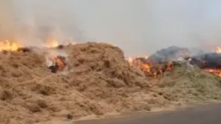 Incendio en una pajera de la carretera de Barcelona, pasado Santa Isabel.