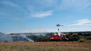 Un incendio en Berbegal quema cinco hectáreas de monte