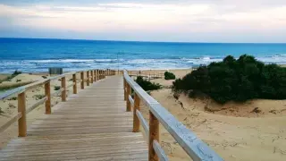 Playa del Camp de Guardamar del Segura, Alicante