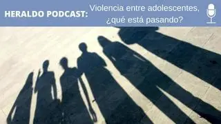 Juan David Gómez-Quintero, sociólogo y profesor de la Universidad de Zaragoza; Alejandra García Pueyo, psicóloga y Olga Lázaro, psicopedagoga analizan los últimos casos de violencia entre jóvenes.