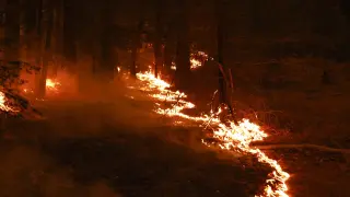Dixie fire in Northern California 27 percent containted