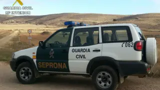Investigados dos vecinos de Aniñón por cazar un corzo sin autorización en un coto de Soria