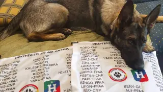 Las banderas que quieren colocarse en el Aneto con los nombres de los perros.