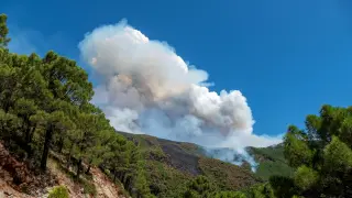 Columna de humo en el incendio en Sierra Bermeja