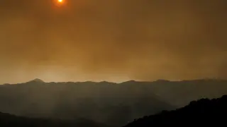Incendio en Sierra Bermeja (Málaga)