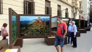 La exposición 'De Polo a Polo' en la Plaza Navarra de Huesca.