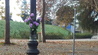 Unas flores recuerdan la tragedia en el Madrid Arena