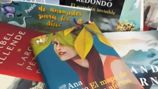 Algunos de los libros leídos este verano por los socios del Club de Lectura del Casino de Teruel.