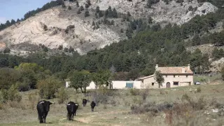 Frías de Albarracín.