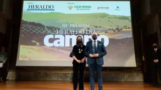 Blanca Delso, directora financiera y de servicios de DF Grupo, entrega el galardón a Fernando Valdrés, gerente del grupo Agroveco.