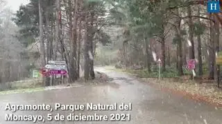 La nieve también llega al Parque Natural del Moncayo