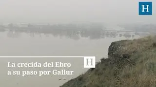 Así ha afectado la crecida del Ebro a la localidad de Gallur